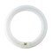 PHILIPS 32W 12in. 4000K Cool White G10q Circline Fluorescent Light Bulb